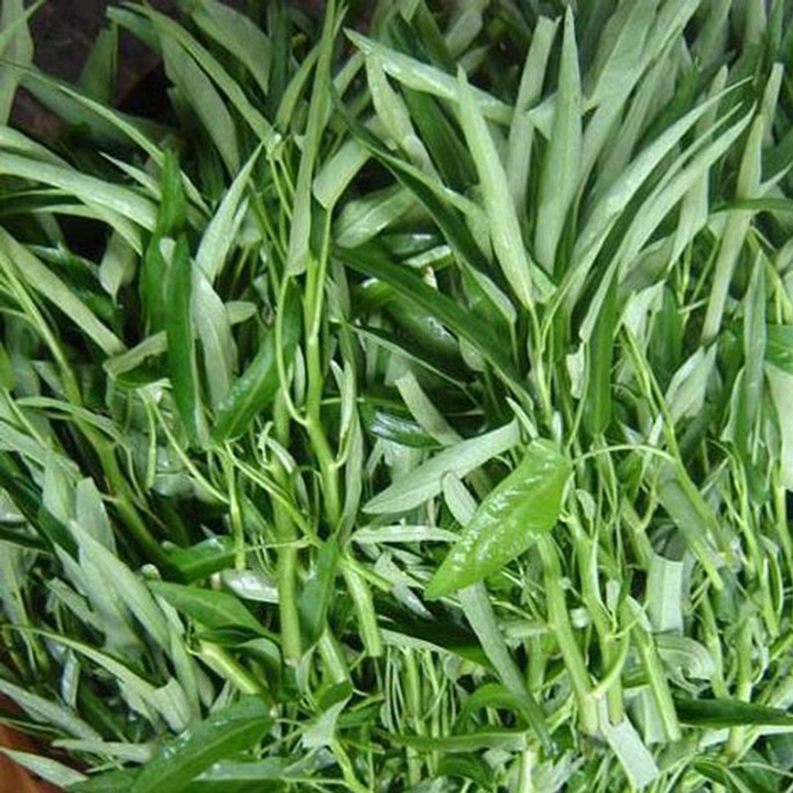 Hạt giống rau muống gói 100gr