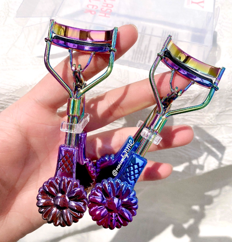 BẤM MI HOA CÚC TÍM PURPLE DAISY