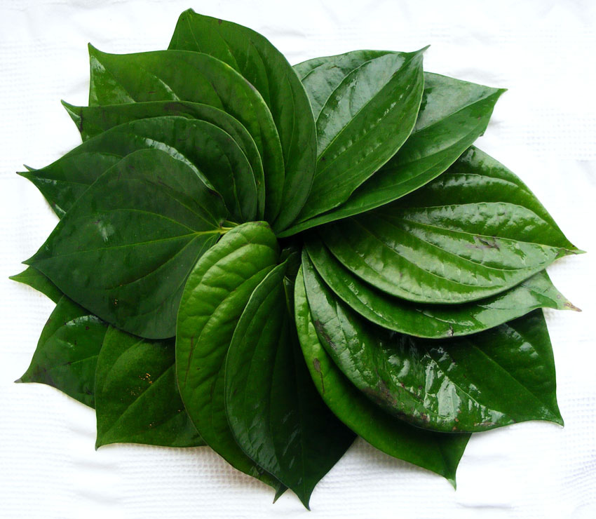 Nước cất trầu không