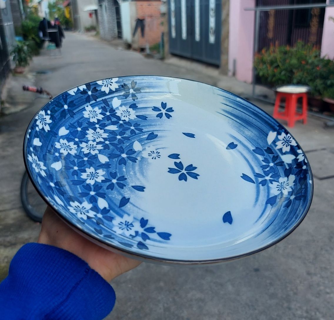 Set 03 Đĩa sứ sâu lòng in hoạ tiết siêu đẹp, Sản phẩm bằng sứ bền, đẹp ngang 21cm x 3.5cm
