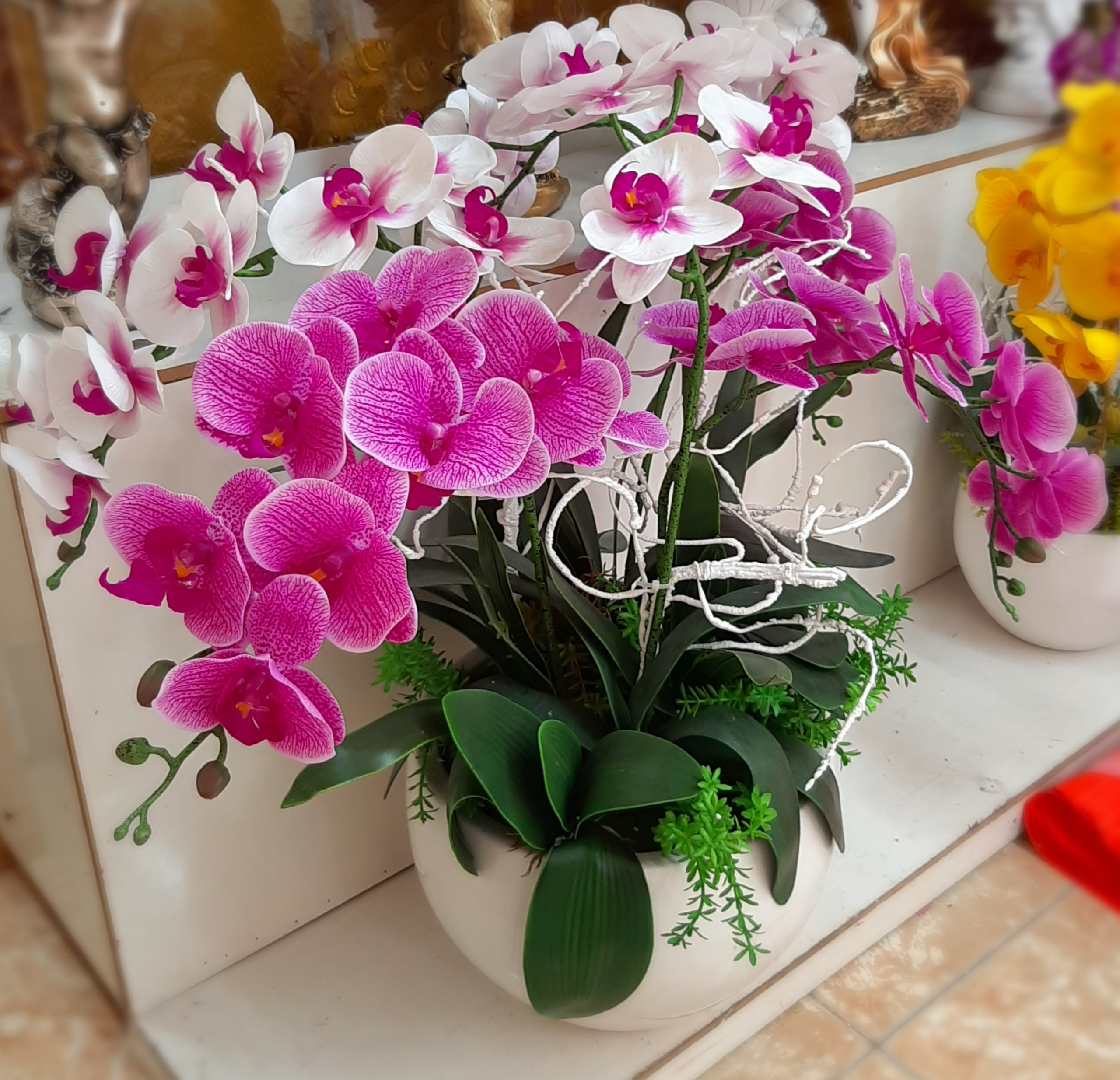 3 cốc lan hồ điệp có ngồng