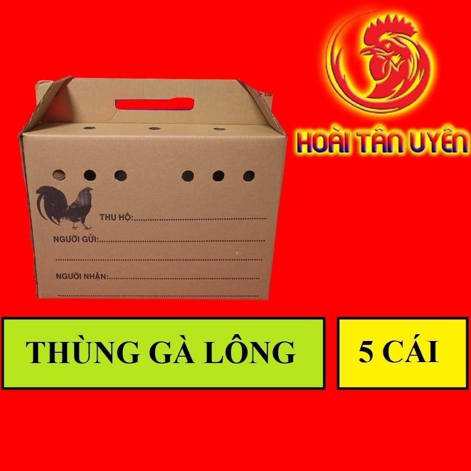 COMBO 5 THÙNG GIẤY ĐỰNG GÀ LÔNG