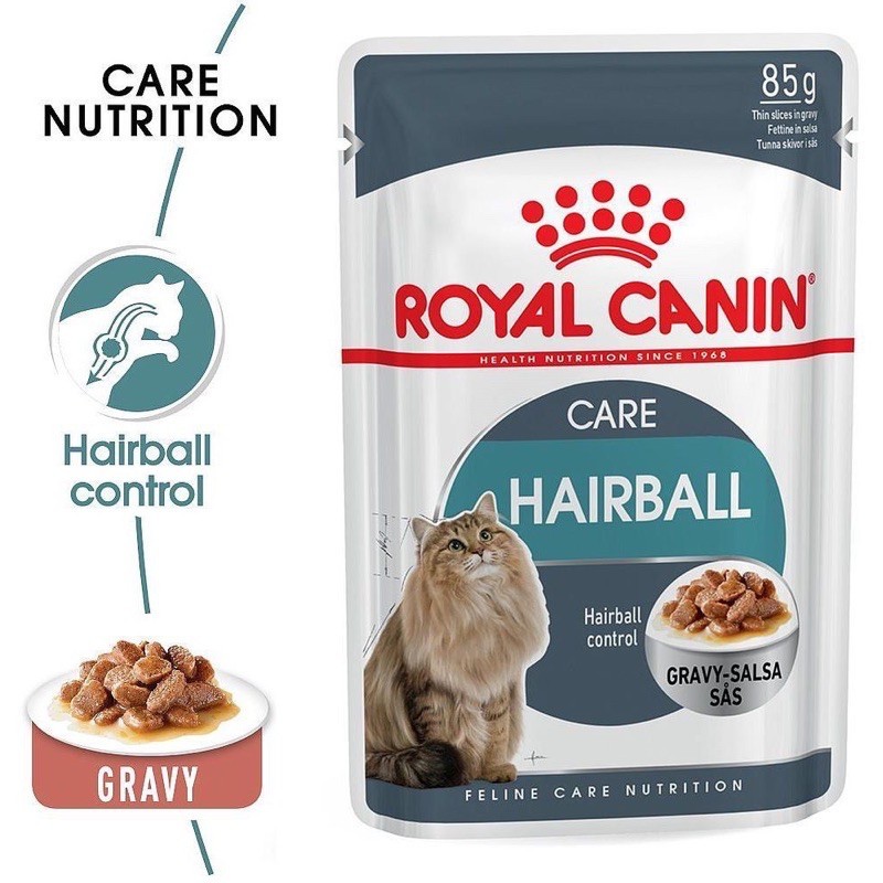 Pate Royal Canin Hairball Care t.rị búi lông cho mèo 85g