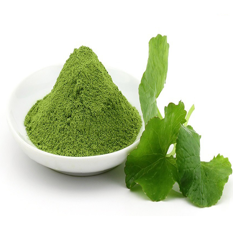 [HOT] Bột rau má nguyên chất 100g - Thảo Dược Tấn Phát