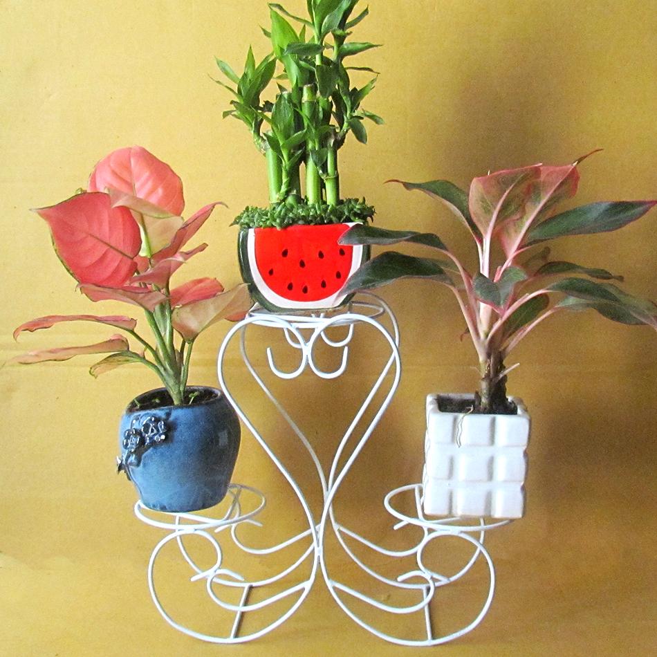 Gía đỡ chậu cây mini
