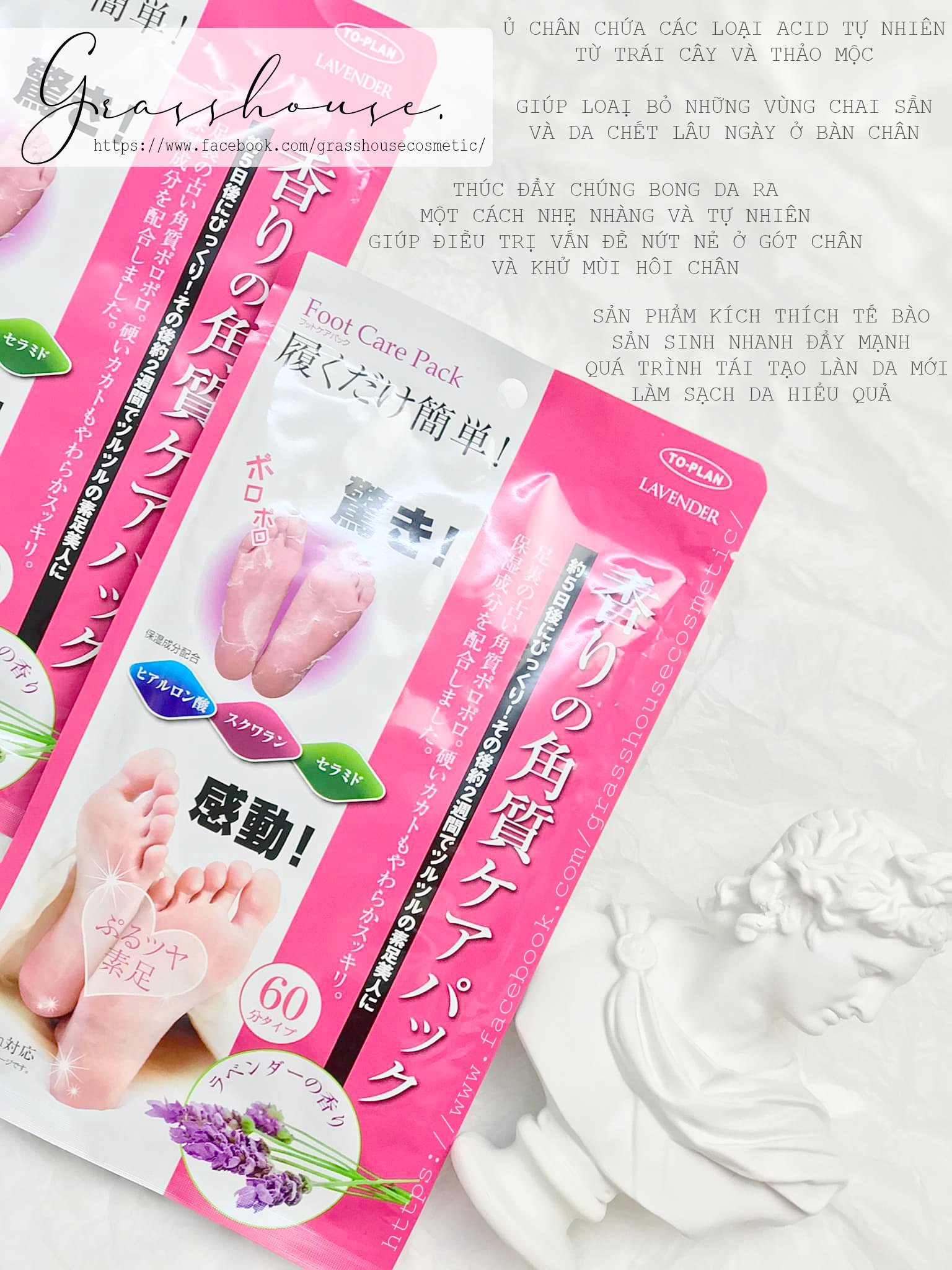 Mask mặt nạ ủ lột bàn chân foot care pack to plan / túi ủ tẩy tế bào chết da chân to-plan 2 miếng/gói