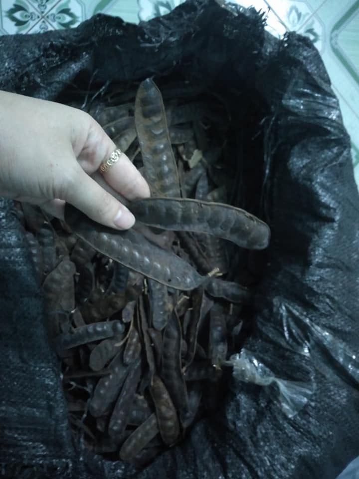 Bồ kết trái khô -500g