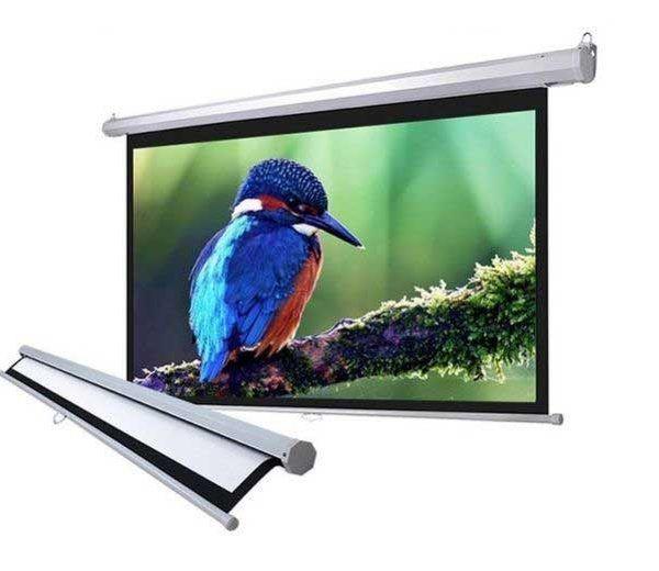 Màn chiếu kéo tay Apollo Dalite 1m5 x 1m5