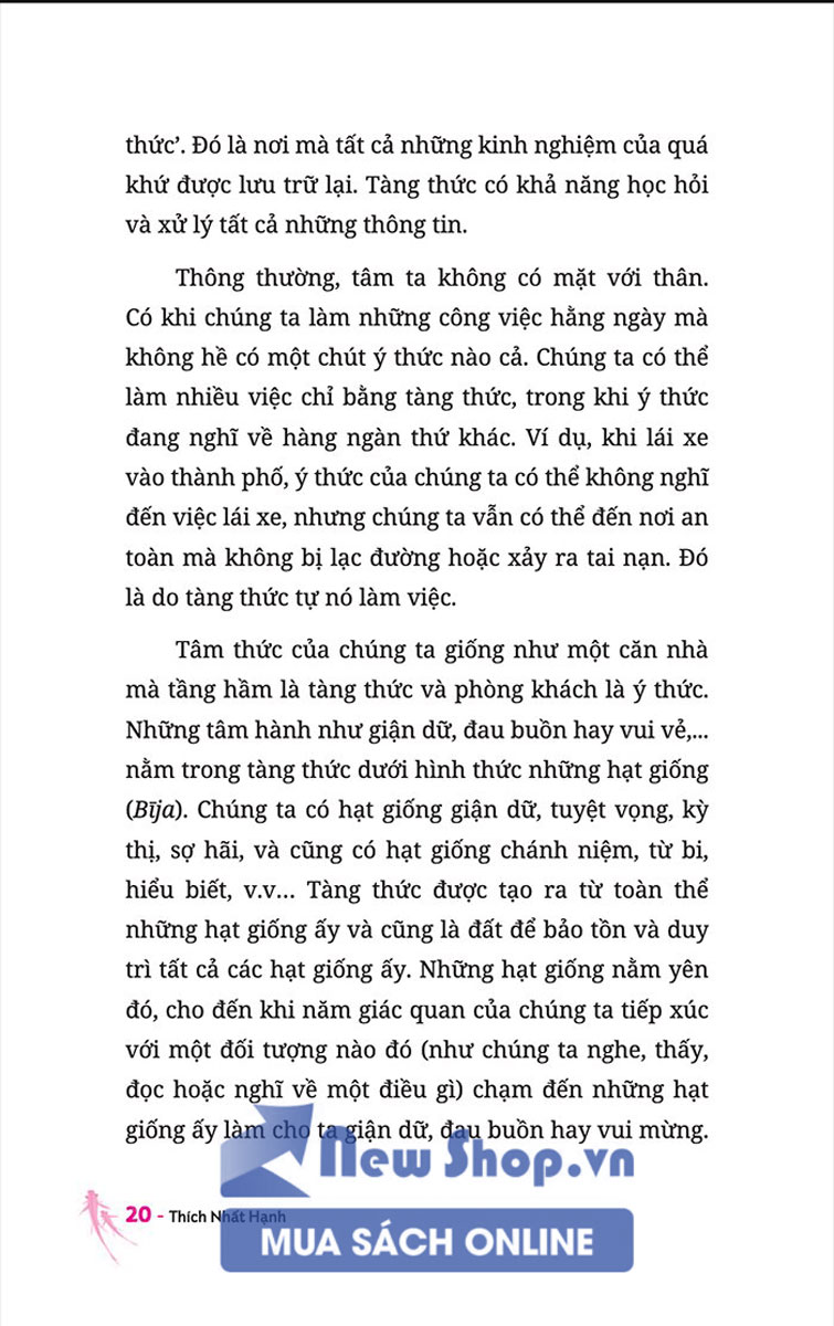 Sách Thiền Sư Và Em Bé 5 Tuổi - Newshop