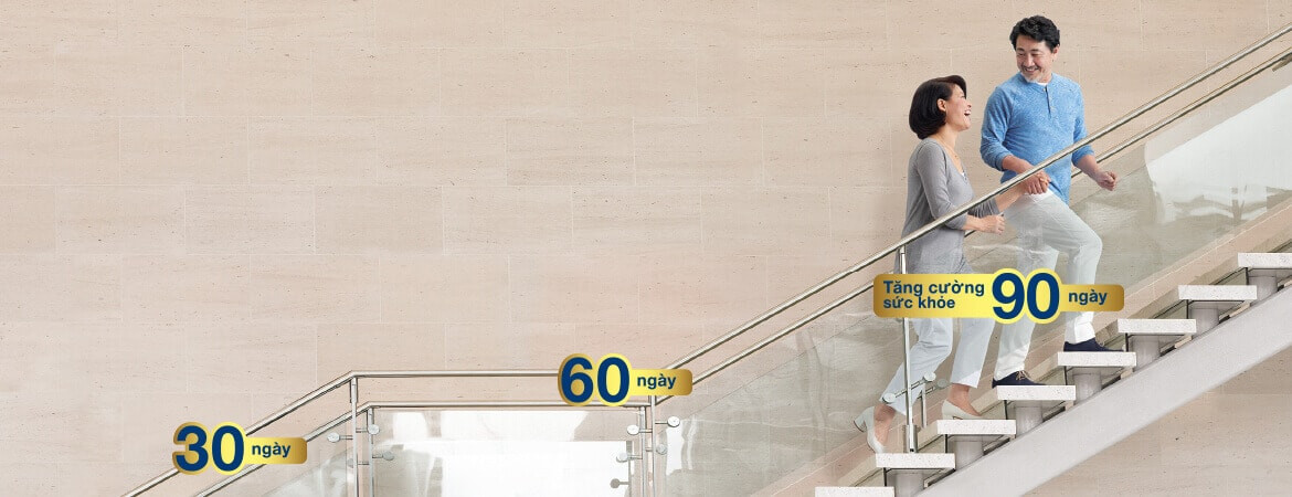Sữa Ensure Gold Dạng Gói 60,6g/gói