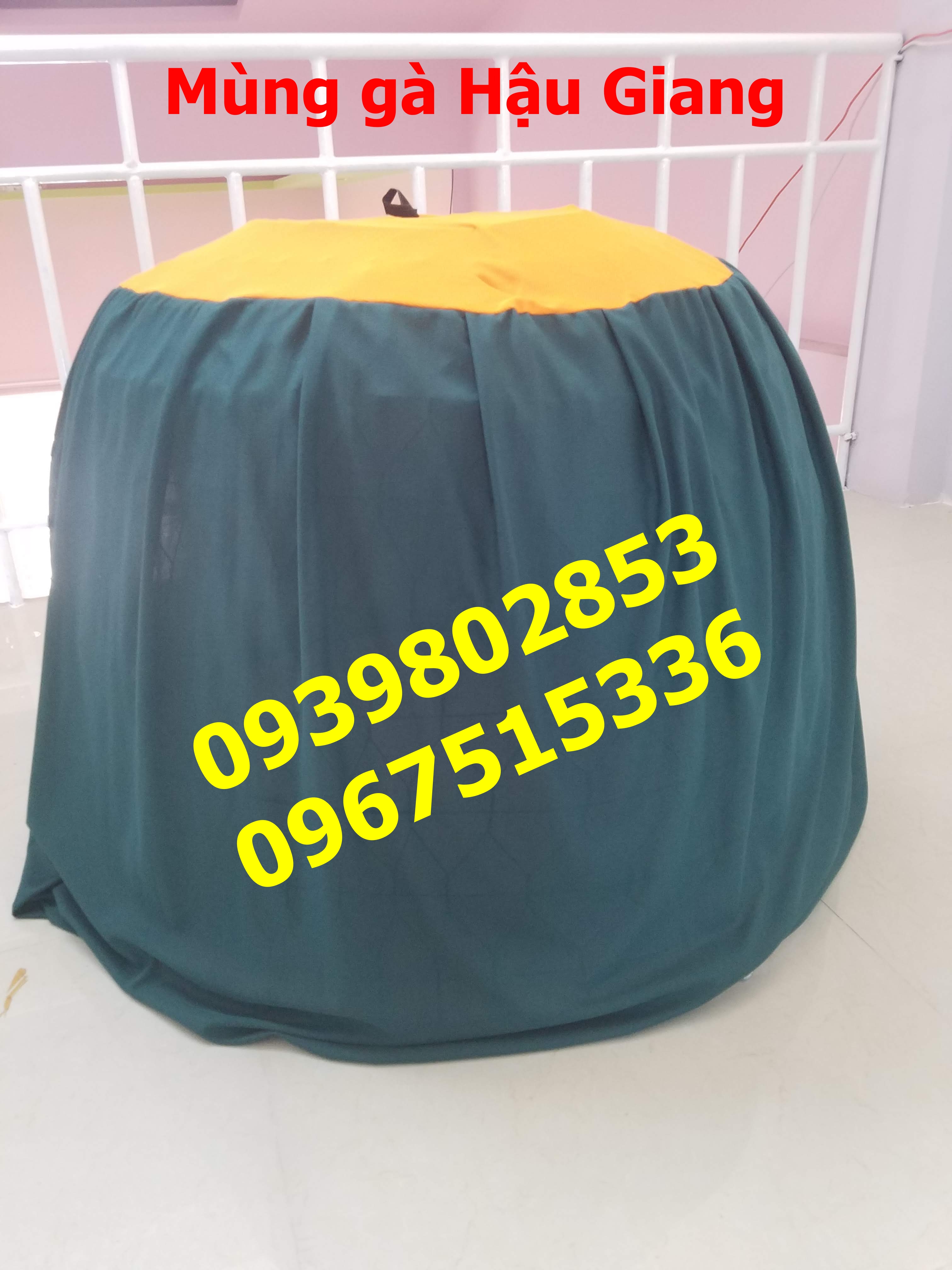 10 mùng gà nòi 1.2m to