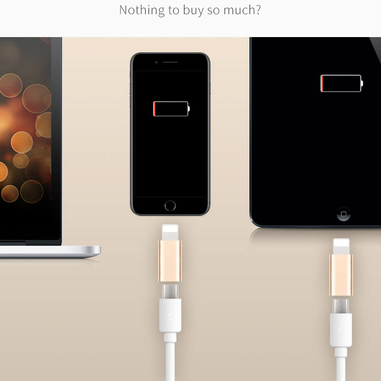 Đầu chuyển đổi chân Micro USB sang Lightning (Iphone Ipad)