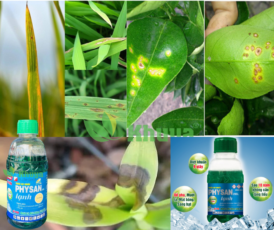 Sát khuẩn Physan 20SL lạnh 480ml