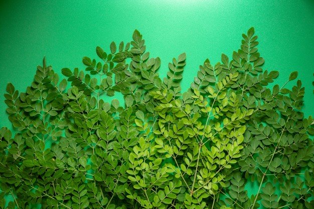 [HCM]Mì gói moringa- mì chùm ngây (30 gói/ thùng)