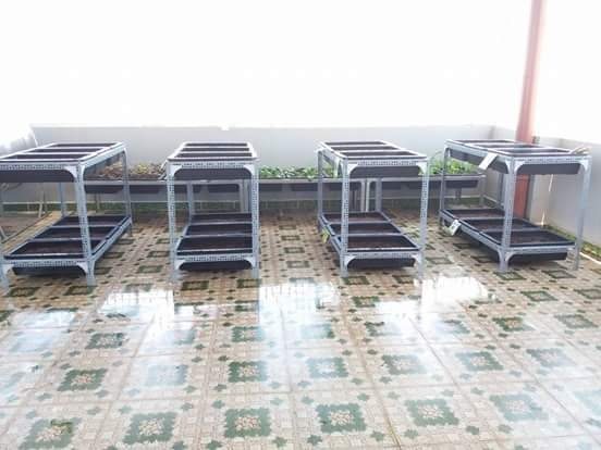 Kệ trồng rau nhiều kích thước ( chưa gồm khay )
