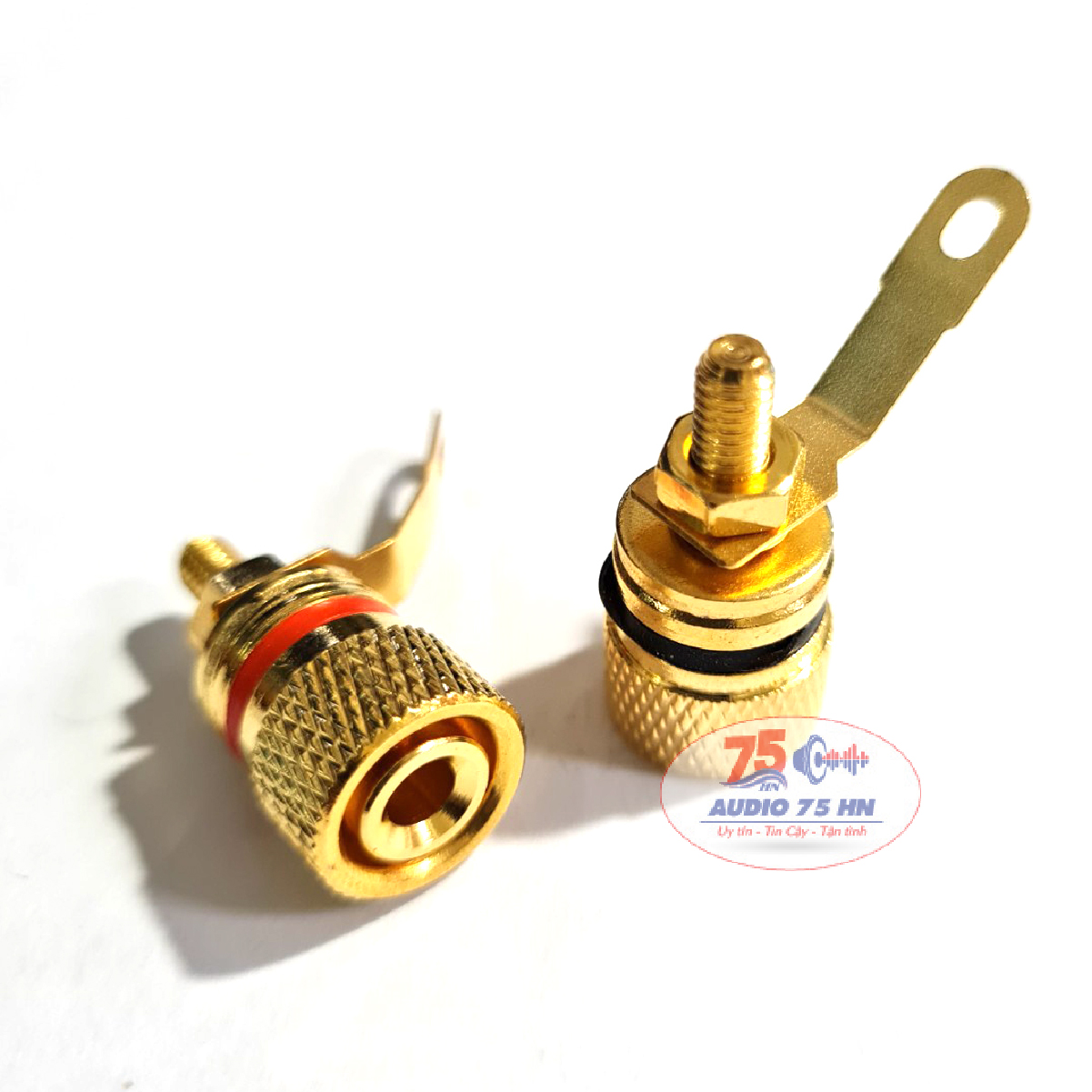 01 cặp Jack cọc loa bằng đồng mạ vàng cao cấp