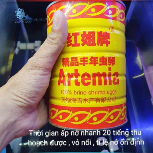 Trứng artemia ấp nở lon vàng - tỉ lệ nở rất cao - guppyxanh 100gr cam kết hàng đúng mô tả chất lượng đảm bảo an toàn đến sức khỏe người sử dụng đa dạng mẫu mã
