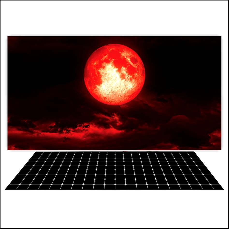Tranh 3d dán hồ cá decal vip- in theo kích thước hồ
