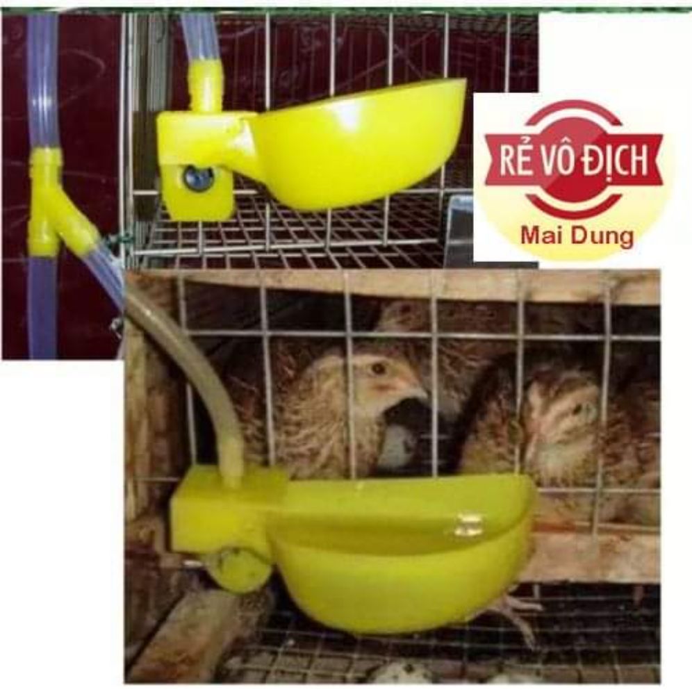 30 cái máng uống cho chim cút, bồ câu