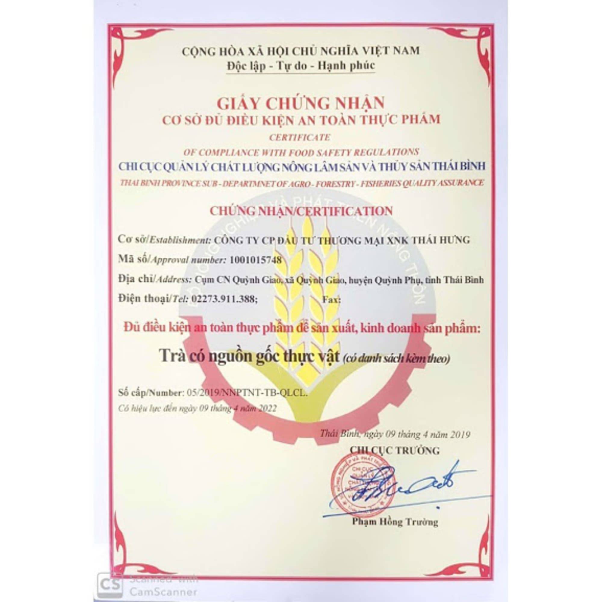 Trà Đinh Lăng Thái Hưng (bịch 50 túi lọc 5g, trà thảo mộc 100% thiên nhiên)