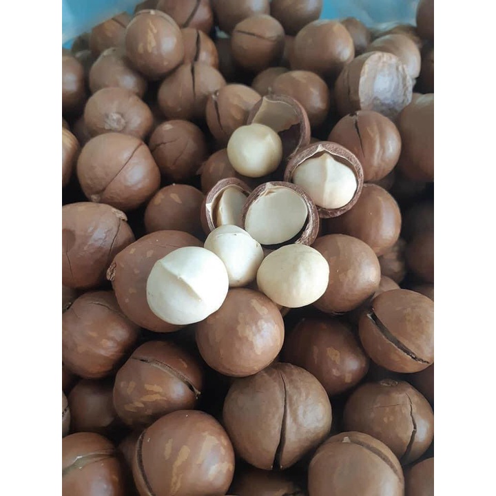 500gr Hạt Macca Daklak kèm đồ khui