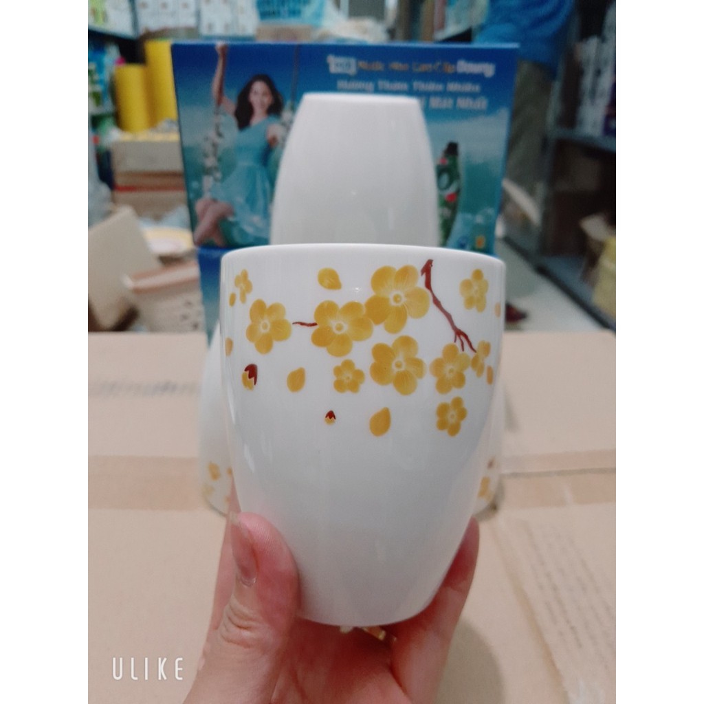 Bộ cốc sứ hoa mai Dong HWa