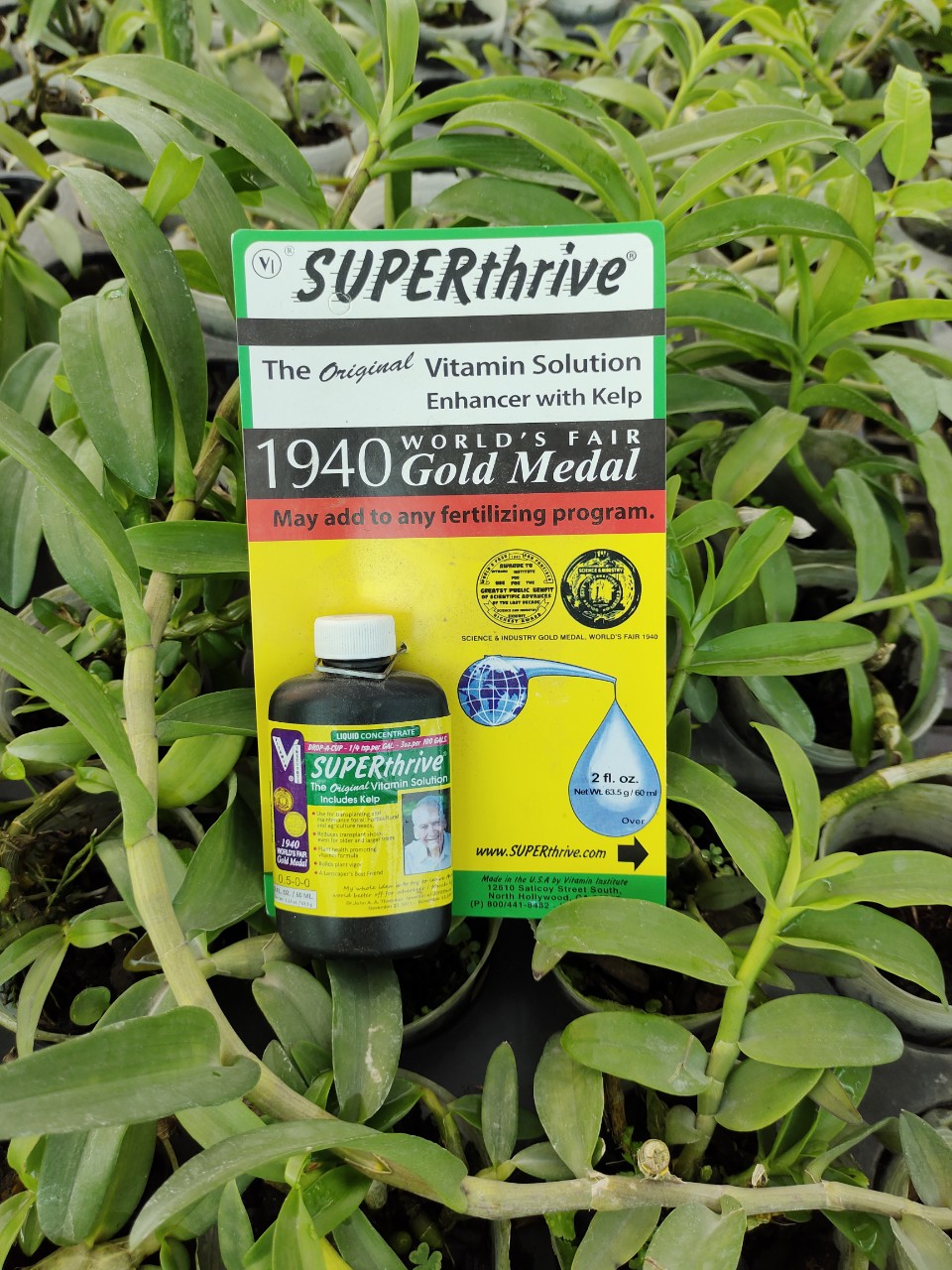 Phân bón Superthrive (Mỹ)