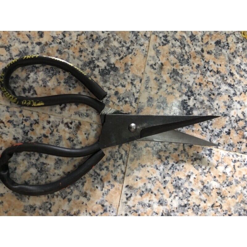 kéo làm cá nhịp xe