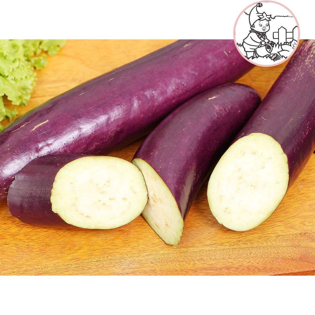 HẠT CÀ TÍM DÀI F1 THÁI LAN - GÓI 1 GRAM