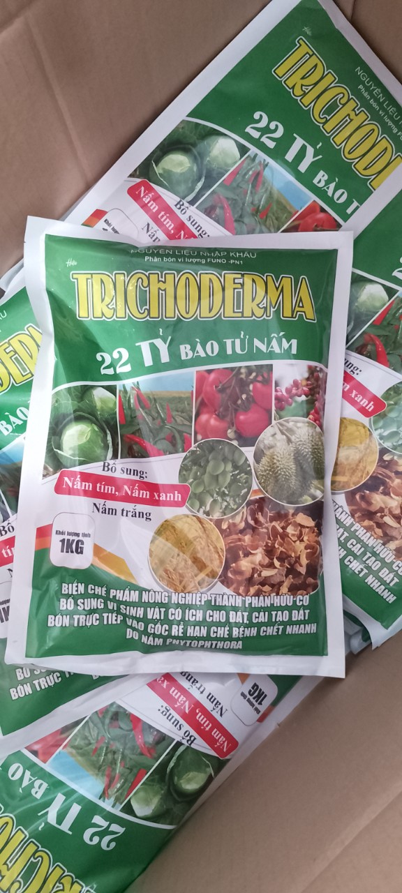 Chế Phẩm Vi Sinh Nấm TRICHODERMA - Chứa 22 tỷ Bào Tử - Bột Hào Tan - Gói 1kg