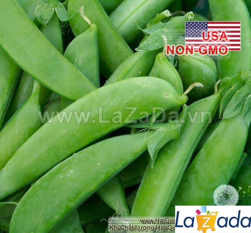 5Gr Hạt Giống Đậu Hà Lan Leo Siêu Ngon Sugar Snap (A2.303| W1*W53*M026)