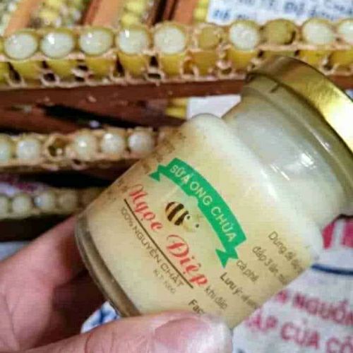 sữa ong chúa 100gr