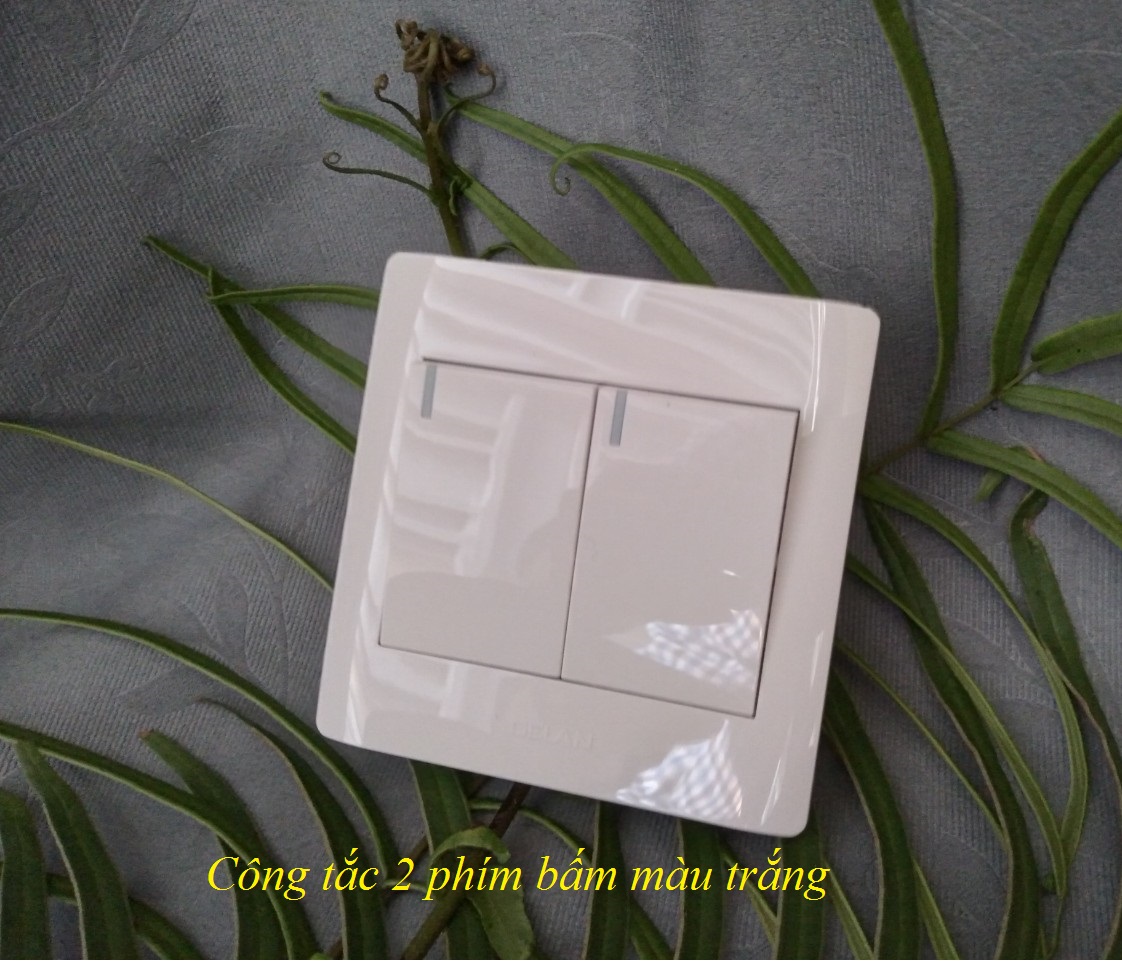 Công tắc điện 2 phím bấm, 1 chiều (2 chiều)