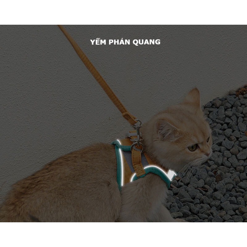 Dây dắt chó mèo kèm yếm chống đột quỵ