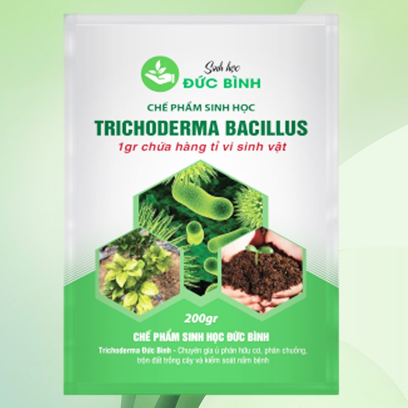 CHẾ PHẨM SINH HỌC TRICHODERMA ĐỨC BÌNH GÓI 200G - GIÚP TĂNG CHẤT LƯỢNG SẢN PHẨM