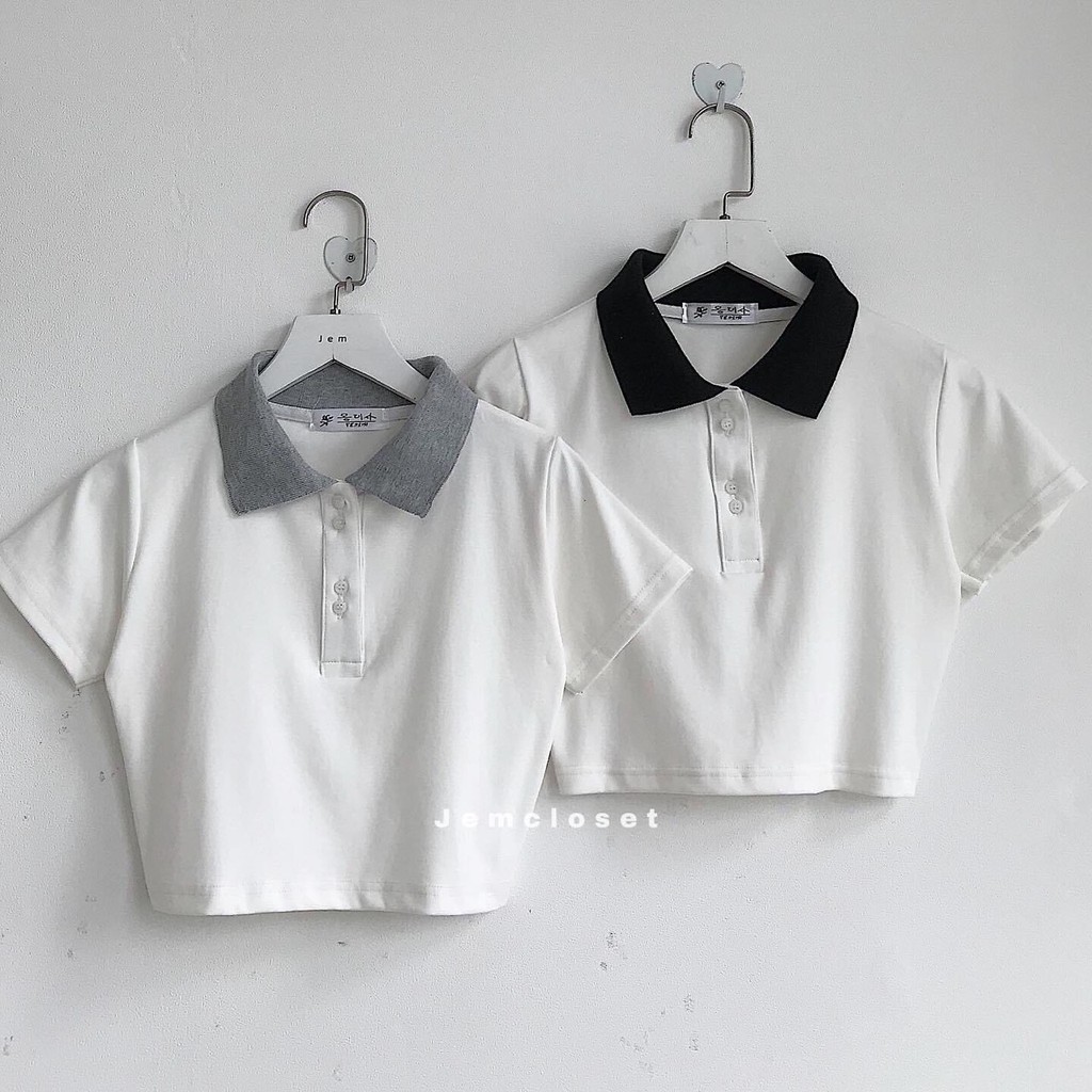 AO CROPTOP PETTER PHỐI CỔ