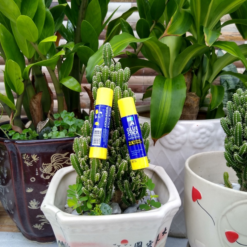 {HCM} Hồ khô double A loại 8g siêu dính 5.0 [ VPP Trí Đức ]