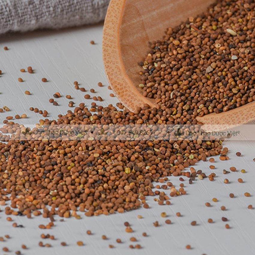 Thỏ ty tử 100g, khô, vàng, sạch, hỗ trợ bổ can thận, mạnh gân cốt, tăng cường sinh lý nam