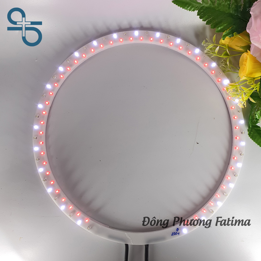 Vòng Hào Quang Led Đôi 24cm