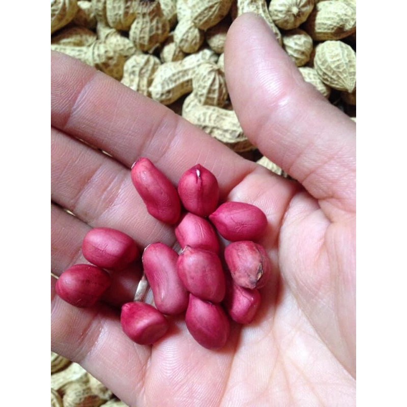 Lạc đỏ quê rang sẵn (1kg) Đại lý gạo Bà Tám