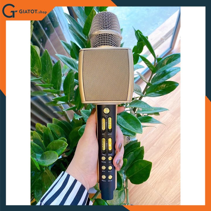 Mic kèm loa karaoke Anysing ZBX-69