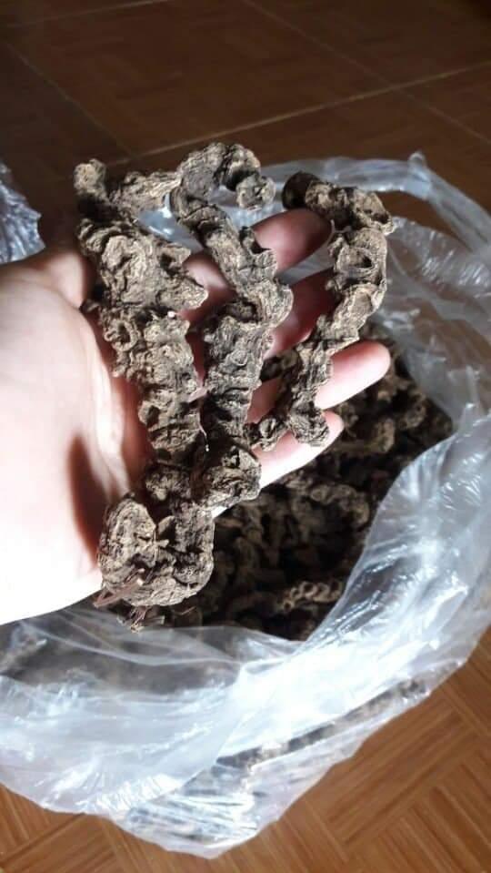 Tam Thất Hoang 100gr