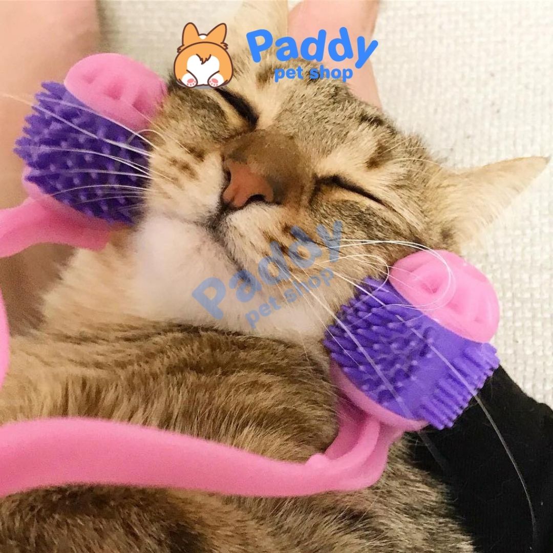Đồ Chơi Cho Mèo Cây Lăn Mát Xa Thư Giãn CattyMan