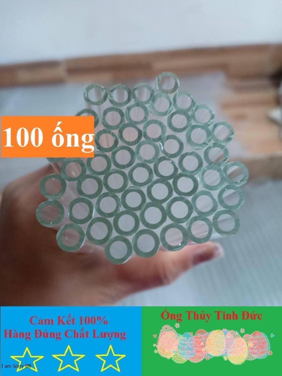 100 ống thủy tinh dài 20cm