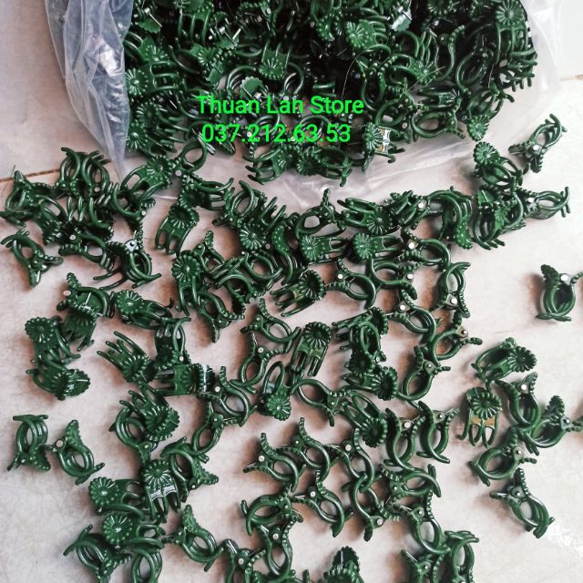Set 10c kẹp bướm cỡ trung dùng kẹp cố định cây hoa lan