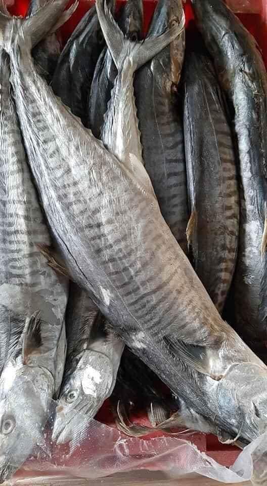 mắm thu muối vùi (có size cá lớn 500g- 900g 1con), mắm thơm ngon, Khô Thoại Sơn