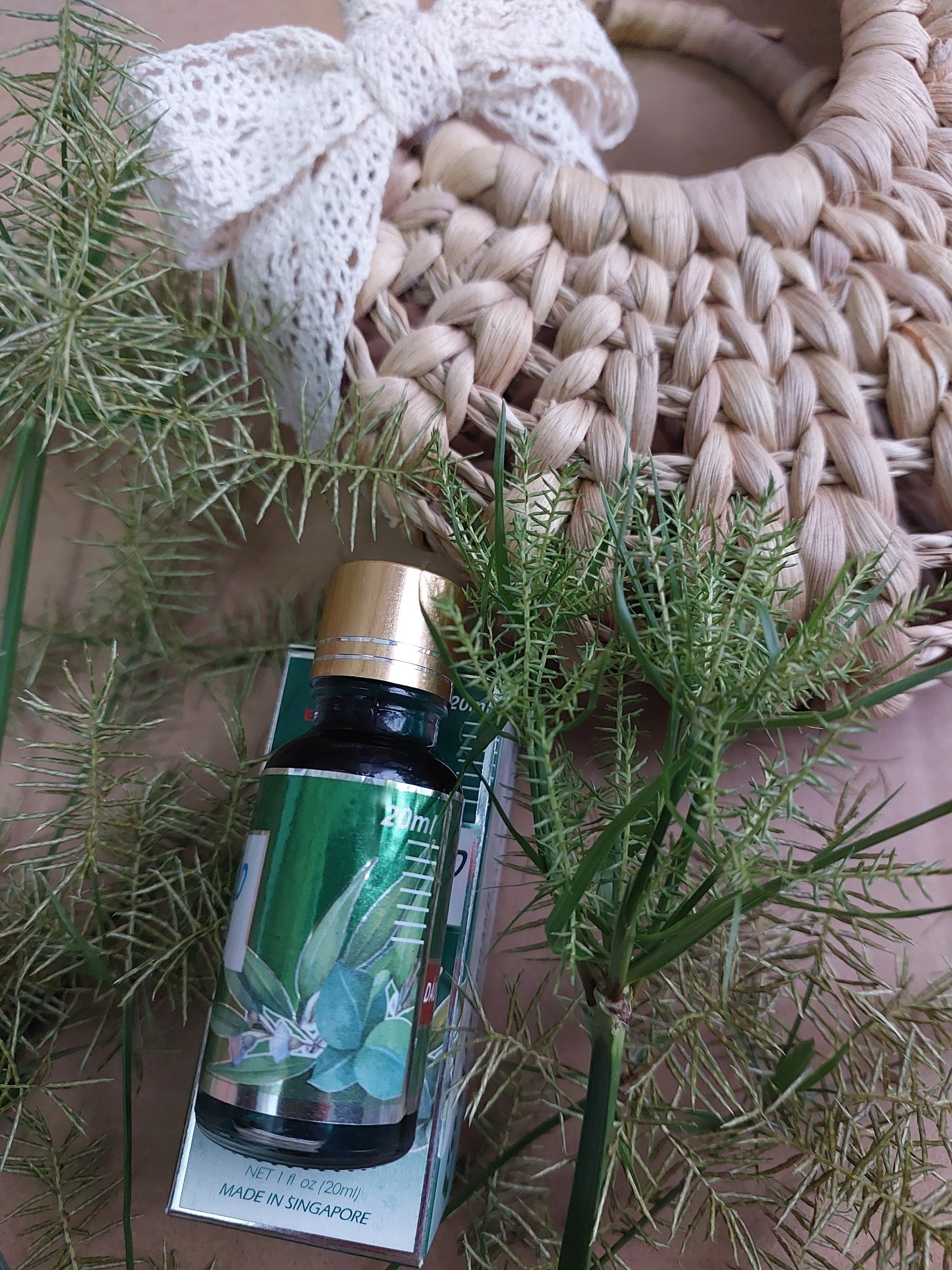 CHAI DẦU KHUYNH DIỆP SINGAPOR 20ML