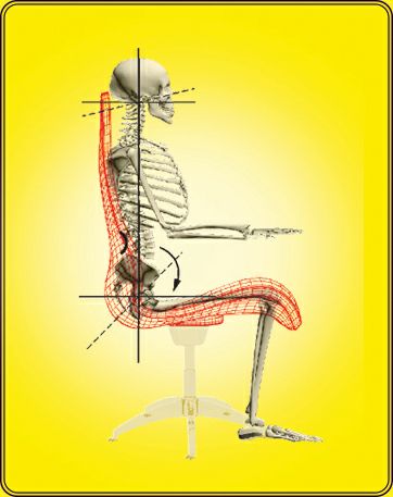 ghế Doctorloan 95 vip