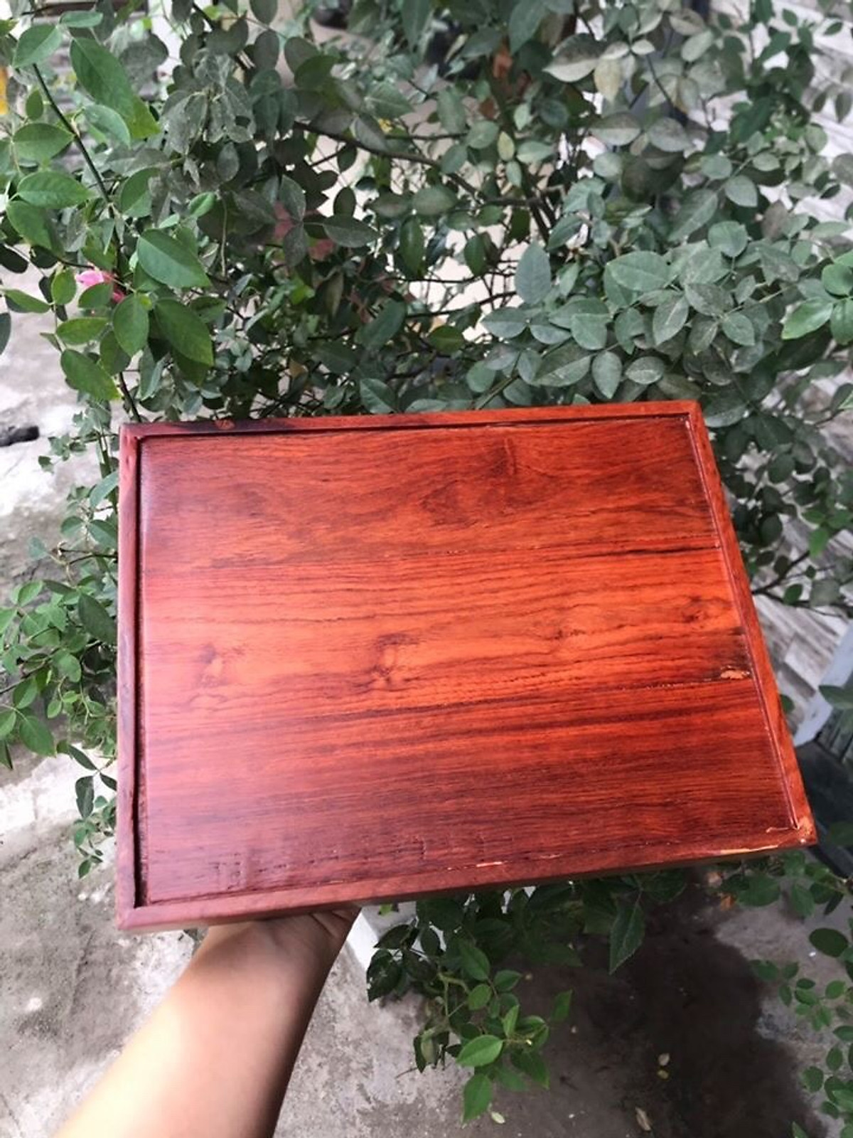 Bộ cờ tướng gỗ trắc cỡ lớn cao cấp
