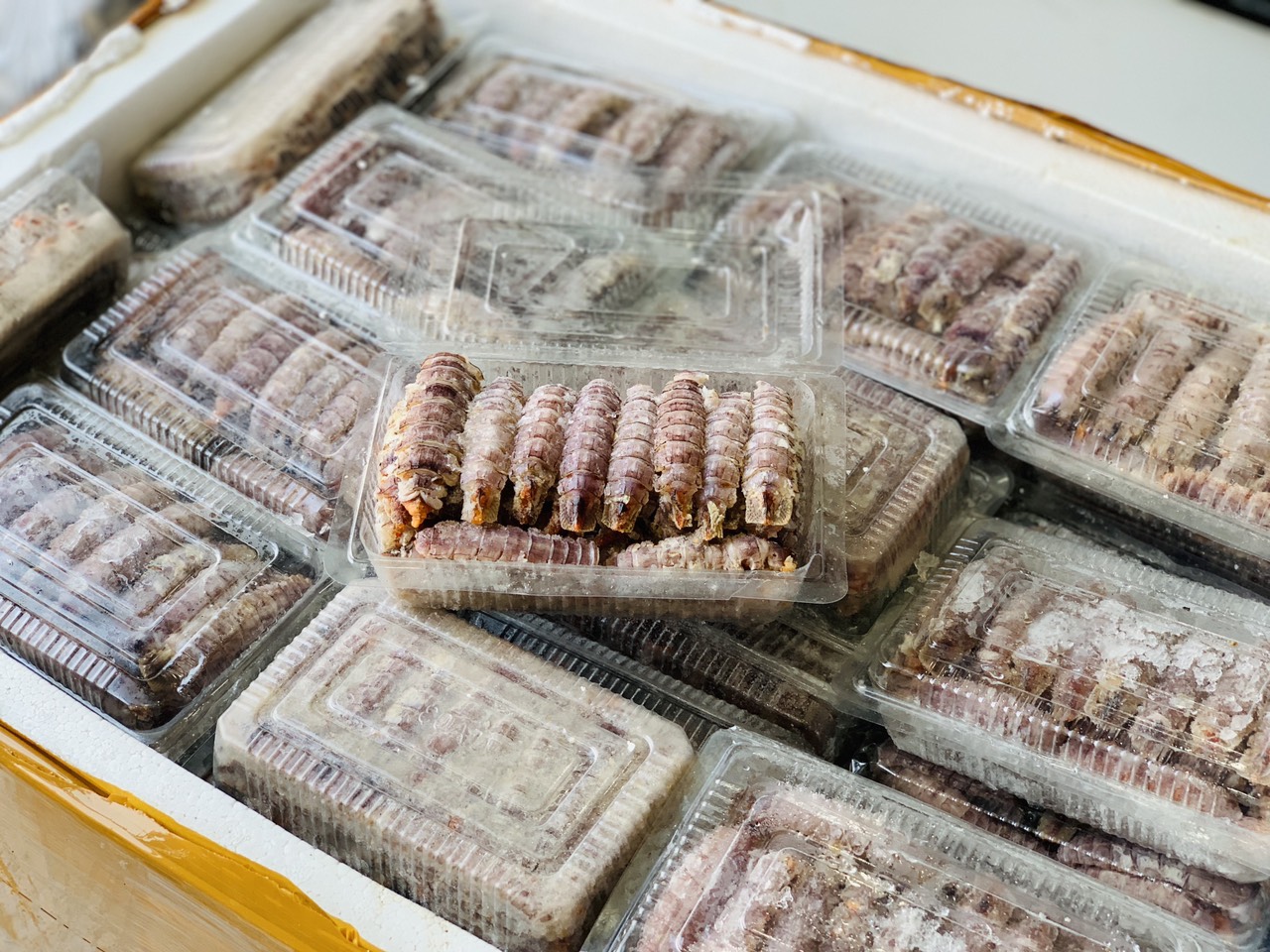[GIAO NHANH 2H HCM] Giá Sỉ 1Kg Tôm Tít Gạch